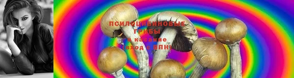 ALPHA PVP Аркадак