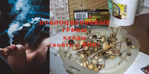 спайс Алексеевка