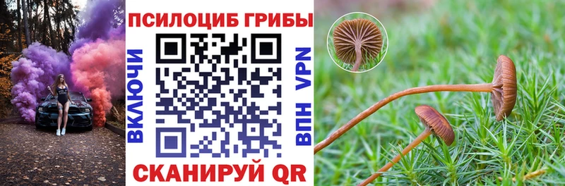 ссылка на мегу онион  Нарткала  Псилоцибиновые грибы мицелий 