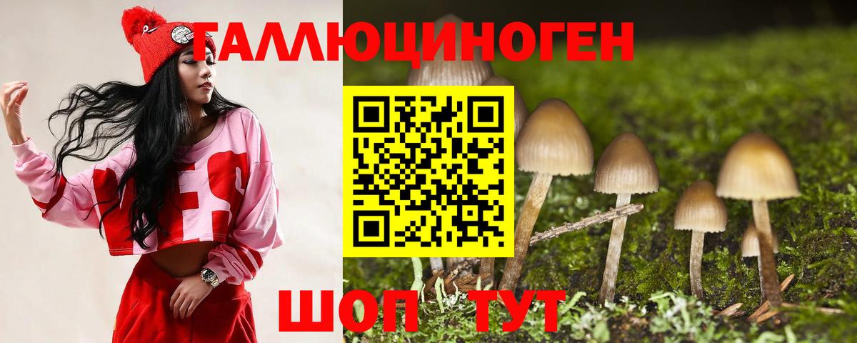 Псилоцибиновые грибы GOLDEN TEACHER  Вход с VPN  Галлюциногенные грибы мицелий  Нарткала 