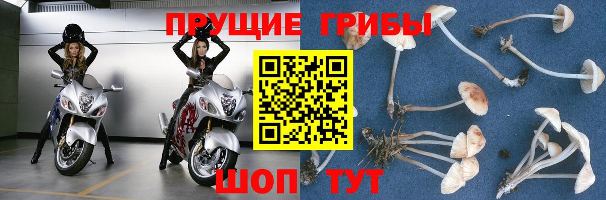 Галлюциногенные грибы ЛСД Нарткала